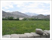 �ε� ��(Leh)-���ũ(Ladakh)