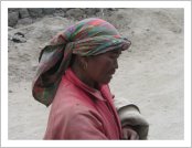 �ε� ��(Leh)-���ũ(Ladakh)