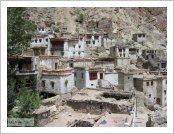 �ε� ��(Leh)-���ũ(Ladakh)