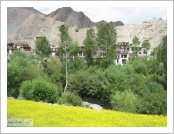 �ε� ��(Leh)-���ũ(Ladakh)