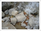 �ε� ��(Leh)-���ũ(Ladakh)