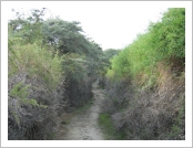 �ε� ��(Leh)-���ũ(Ladakh)