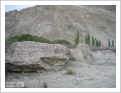 �ε� ��(Leh)-���ũ(Ladakh)