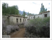 �ε� ��(Leh)-���ũ(Ladakh)