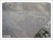 �ε� ��(Leh)-���ũ(Ladakh)