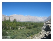 �ε� ��(Leh)-���ũ(Ladakh)