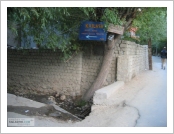 �ε� ��(Leh)-���ũ(Ladakh)