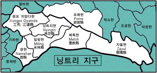 Ƽ��(Ƽ��Ʈ) ��Ʈ�� ����