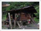 Ƽ��(Ƽ��Ʈ)�� ����