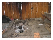 Ƽ��(Ƽ��Ʈ)�� ����