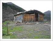 Ƽ��(Ƽ��Ʈ)�� ����