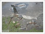 Ƽ��(Ƽ��Ʈ) õ�� ����