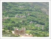 Ƽ��(Ƽ��Ʈ)�� ����