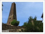 Ƽ��(Ƽ��Ʈ)�� ����