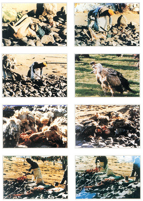 Ƽ��(Ƽ��Ʈ) õ��