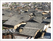 Ƽ��(Ƽ��Ʈ)�� ����