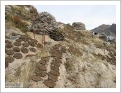 Ƽ��(Ƽ��Ʈ, tibet) ���(lhasa)