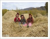 Ƽ��(Ƽ��Ʈ, tibet) ���(lhasa)