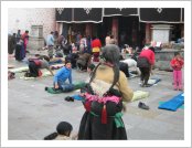 Ƽ��(Ƽ��Ʈ, tibet) ���(lhasa)