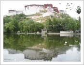 Ƽ��(Ƽ��Ʈ, tibet) ���(lhasa)