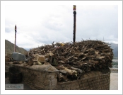 Ƽ��(Ƽ��Ʈ, tibet) ���(lhasa)