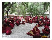 Ƽ��(Ƽ��Ʈ, tibet) ���(lhasa)