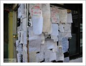 Ƽ��(Ƽ��Ʈ, tibet) ���(lhasa)