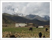 Ƽ��(Ƽ��Ʈ, tibet) ���(lhasa)