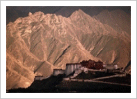 Ƽ��(Ƽ��Ʈ) ��� ��Ż���